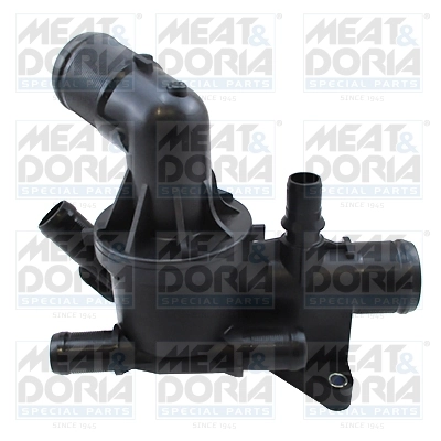 Thermostat, coolant